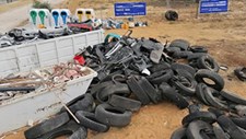 Mais de 18 toneladas de resíduos recolhidos em Palmela