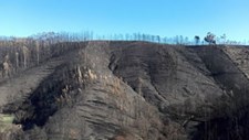 Modelação do risco de erosão como apoio à gestão florestal pós incêndio