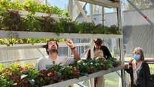 Projeto de horta vertical quer revolucionar a agricultura na cidade de Lisboa