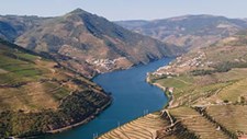 Projeto sensibiliza viticultores do Douro para gestão eficiente da água