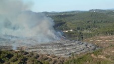 Quercus defende alternativas às queimadas para sobrantes florestais