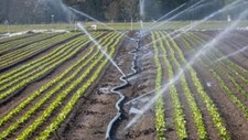 Regadio usa 75% da água em Portugal e desperdiça mais de 35%