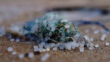 Microplásticos podem transportar para os oceanos germes que causam doenças