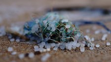 Microplásticos podem transportar para os oceanos germes que causam doenças