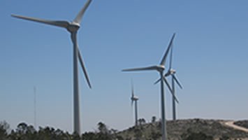 REN regista novo máximo de produção de energia eólica em novembro