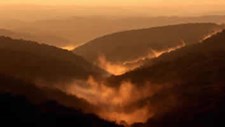 WWF Portugal propõe agenda comum para a prevenção de fogos florestais