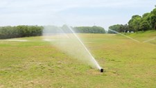 Águas residuais podem regar metade dos campos de golfe no Algarve em 2025