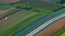 Alterações climáticas podem causar perda de biodiversidade até 2050