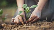 Arouca cria benefícios para agricultores de produção biológica ou integrada