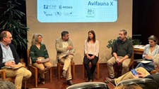 Assinado protocolo para minimizar impacto de linhas elétricas na avifauna