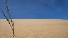 Consulta pública europeia sobre avaliação de risco climático