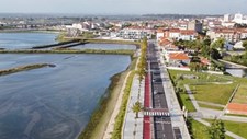 Aveiro pretende eliminar 800 toneladas de CO2 nos transportes