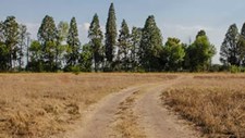 Beiras e Serra da Estrela avança com projeto de cadastro de terrenos