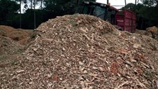 Biomassa - Uma Verdade Desconhecida