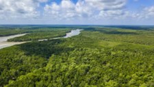 Brasil defende negociação de metas globais para reduzir desflorestação