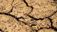 Bruxelas cria instrumentos para preparação e combate à seca na UE