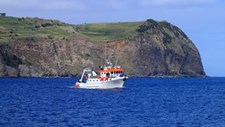 Cientistas descobrem floresta de corais negros no mar dos Açores