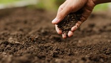 Comissão Europeia lança consulta pública sobre estratégia da UE para os solos