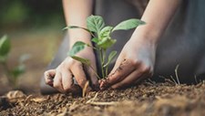 Comissão Europeia lança iniciativas para a agricultura de carbono