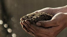 Comissão Europeia propõe legislação para proteger solos e adaptar plantas