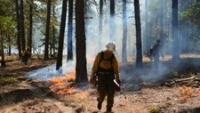Comissão restringe PFAS no combate a incêndios