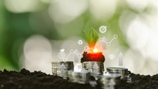 Definidos montantes associados ao mercado voluntário de carbono