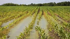 Os desafios e as soluções para a gestão da água na agricultura provocados pelas alterações climáticas