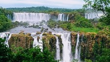 Dia da Biodiversidade – ‘As nossas soluções estão na natureza’