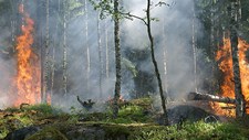 Evitar os efeitos na saúde da poluição do ar dos incêndios rurais
