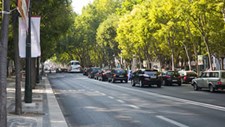 Emissões dispararam na Avenida da Liberdade em Lisboa desde outubro