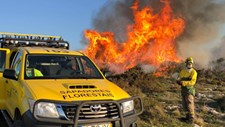 Fogo técnico “é o caminho” para prevenir incêndios