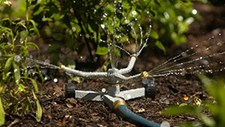 Fundão integra projeto europeu para desenvolvimento de sistemas sustentáveis de rega