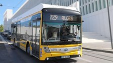 Governo aprova financiamento para adquirir autocarros de emissões nulas