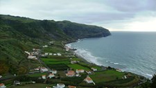 Identificada nova população de espécie rara protegida nos Açores