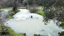 Identificados 44 locais críticos no Plano de Reabilitação de Linhas de Água de Leiria