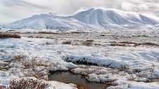 Simulação: Improvável que abatimento da tundra provoque degelo acelerado