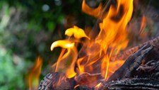 Incêndios florestais extremos duplicaram nos últimos 20 anos em todo o mundo