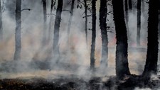 Incêndios florestais: qualidade do ar e saúde
