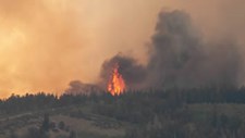 Incêndios e seca são as principais preocupações ambientais dos portugueses