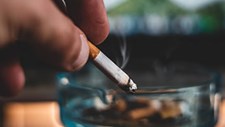 Indústria do tabaco tem impacto desastroso no meio ambiente