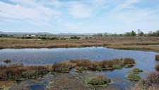 Intrusão salina no Sistema Aquífero da Campina de Faro na zona da Quinta do Lago