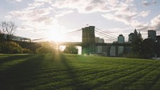 Lançado guia para o planeamento de espaços verdes urbanos com baixo impacto alergénico