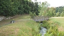 Matosinhos cria charcos e aumenta a biodiversidade nas áreas verdes