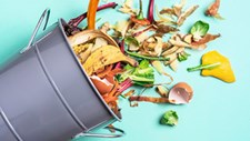 Mealhada aposta na compostagem comunitária e doméstica