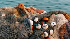 Lançada metodologia de apoio à transição para pescas sustentáveis de baixo impacto