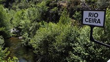 Municípios de Coimbra vão reabilitar ecossistemas do rio Ceira