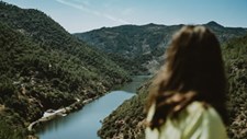 Nanoplásticos colocam em risco ecossistemas de água doce