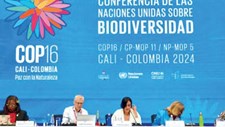 O quadro global para a biodiversidade e as perspetivas da COP16