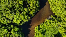 Países amazónicos perderam um milhão de hectares de superfície de água em 10 anos