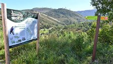Parque das Serras do Porto investe 3,6ME em intervenções na floresta até 2027